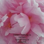 When nothing is certain