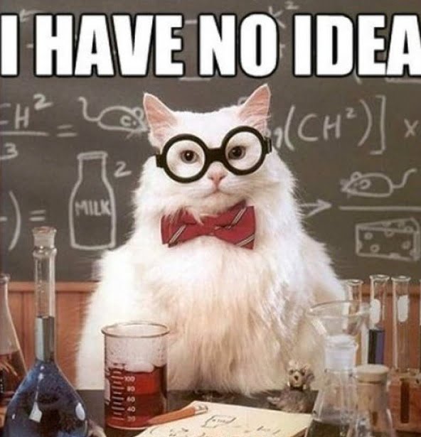 I-have-no-idea