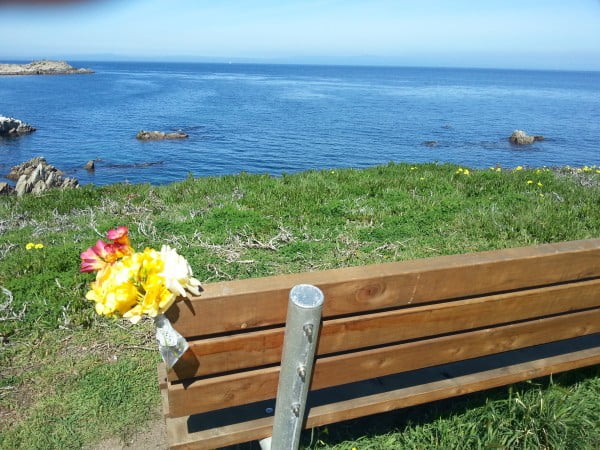 flowers bench