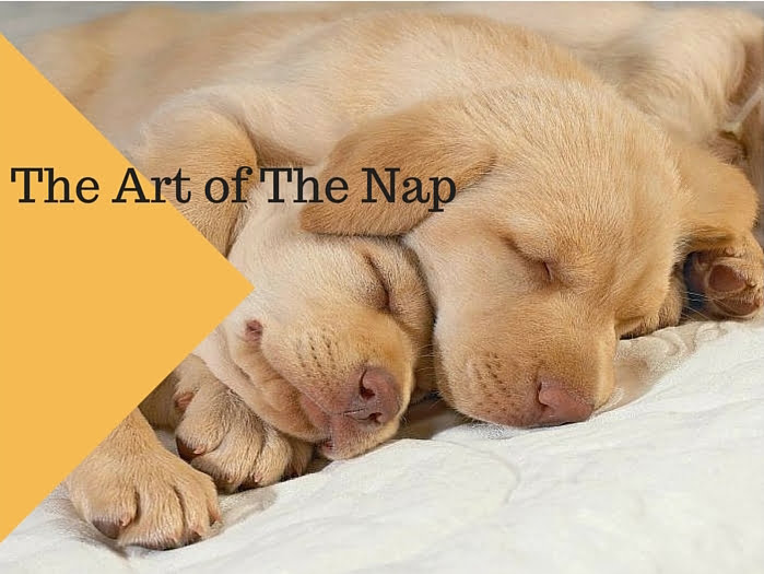 napping