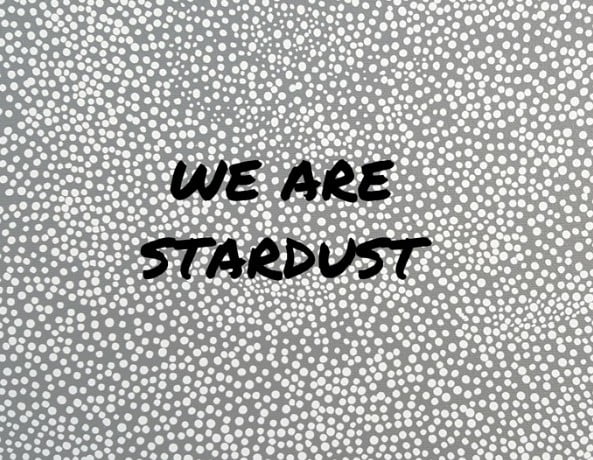 We are stardust.