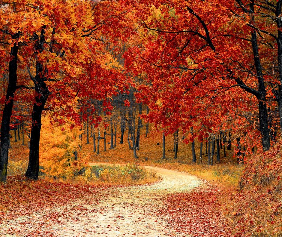 fall-scents
