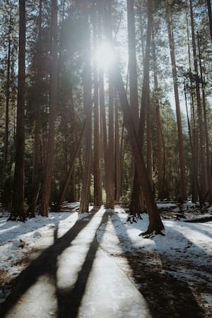 winter-in-Yosemite